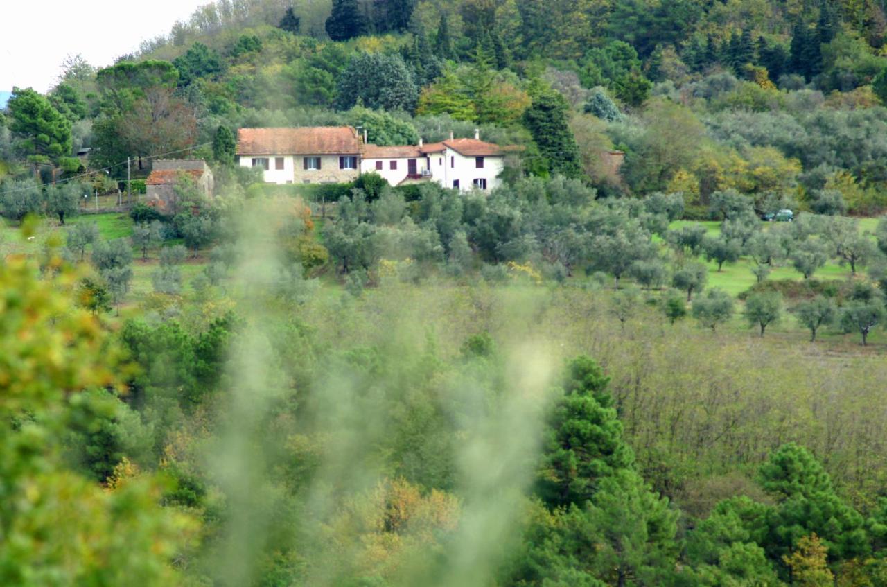 Il Podere La Casina Monsummano Terme Екстериор снимка
