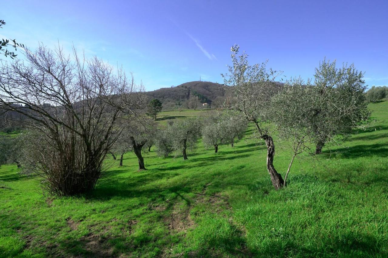 Il Podere La Casina Monsummano Terme Екстериор снимка