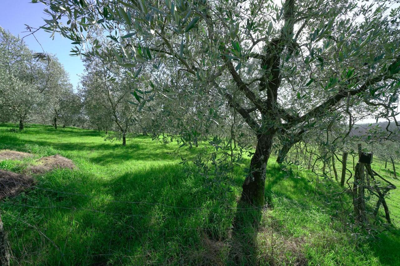 Il Podere La Casina Monsummano Terme Екстериор снимка
