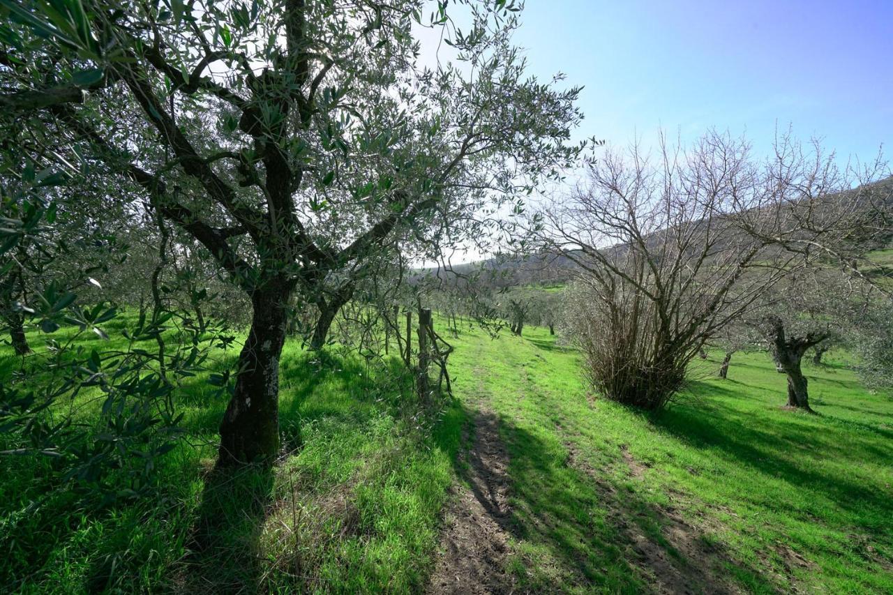 Il Podere La Casina Monsummano Terme Екстериор снимка