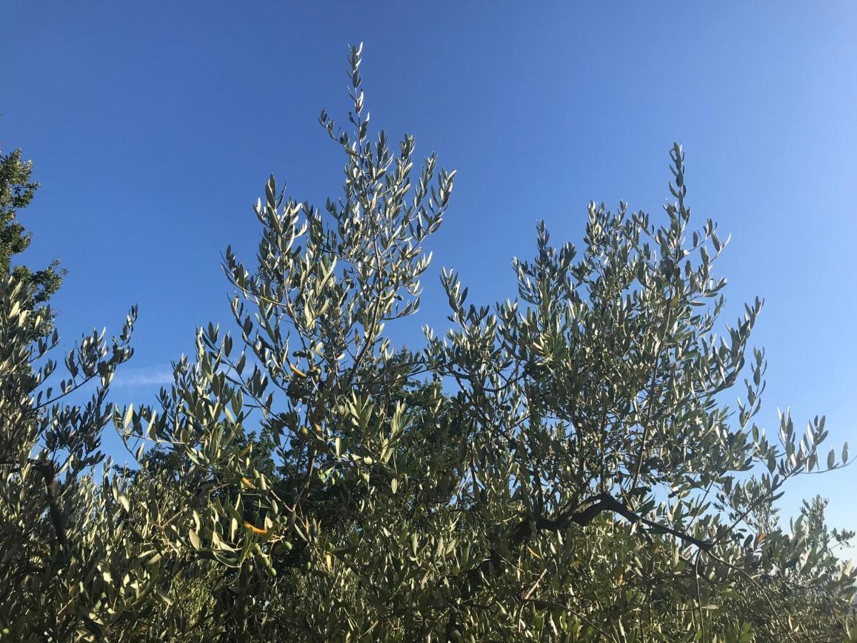 Il Podere La Casina Monsummano Terme Екстериор снимка