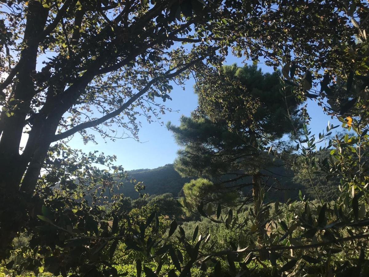 Il Podere La Casina Monsummano Terme Екстериор снимка