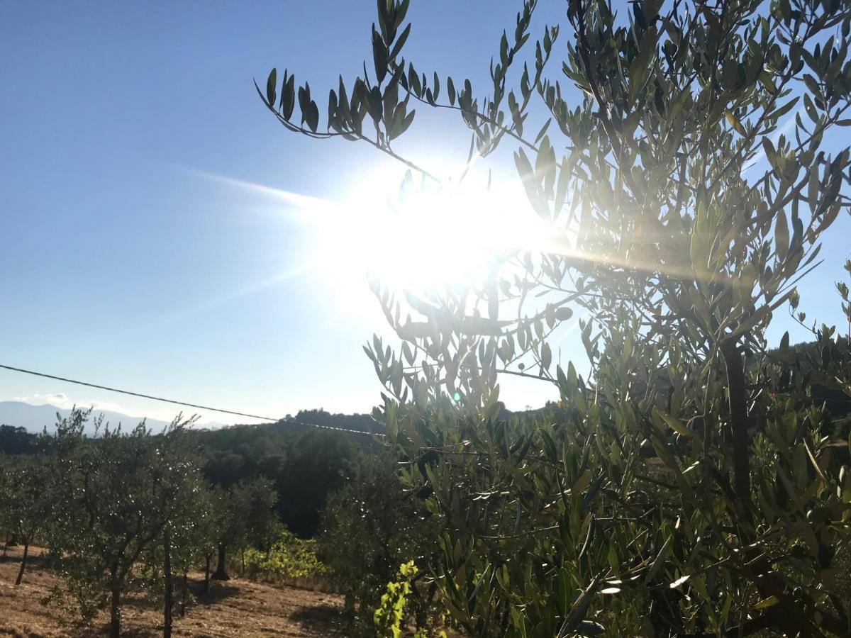 Il Podere La Casina Monsummano Terme Екстериор снимка