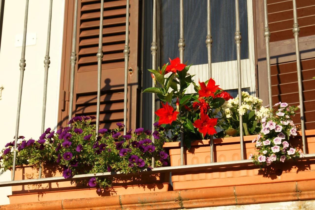 Il Podere La Casina Monsummano Terme Екстериор снимка