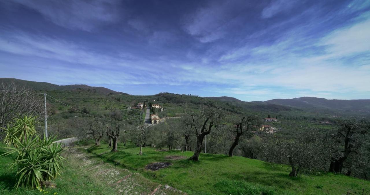 Il Podere La Casina Monsummano Terme Екстериор снимка