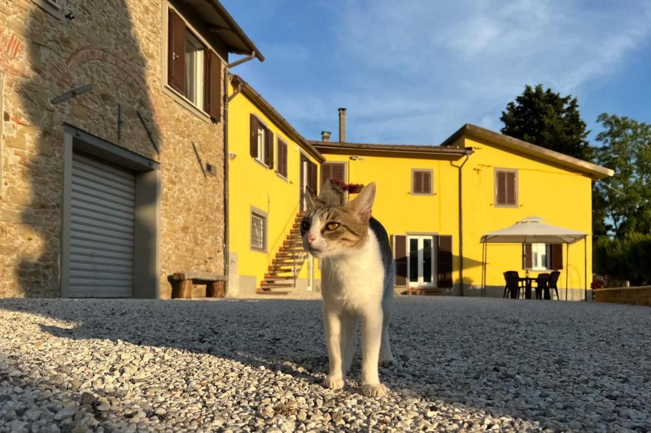 Il Podere La Casina Monsummano Terme Екстериор снимка